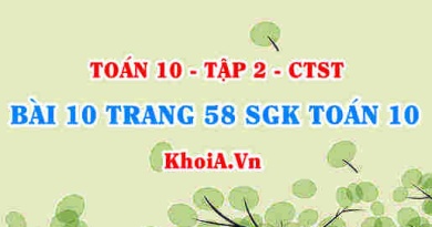 Bài 10 trang 58 SGK Toán 10 tập 2 Chân trời sáng tạo